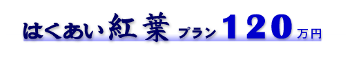 �͂������g�t�v�����P�Q�O���~�|�E���琶�ԍՒd�����I�щ������i���؍Ւd�v�����̐ݒ�͂������܂���j�|